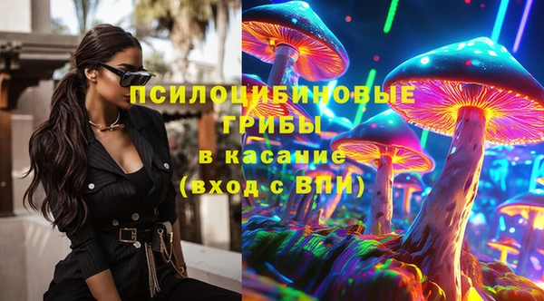 наркотики Бородино