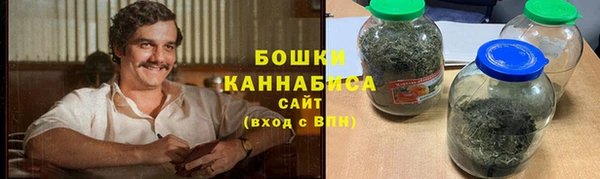 индика Бронницы