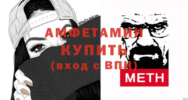 индика Бронницы