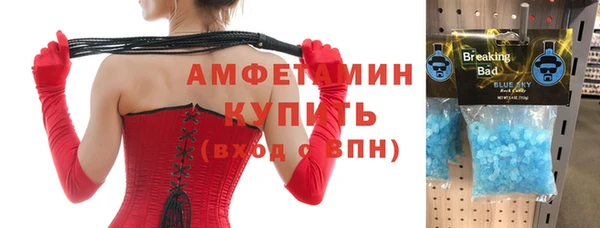 индика Бронницы