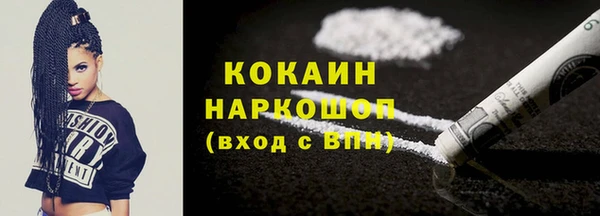 индика Бронницы