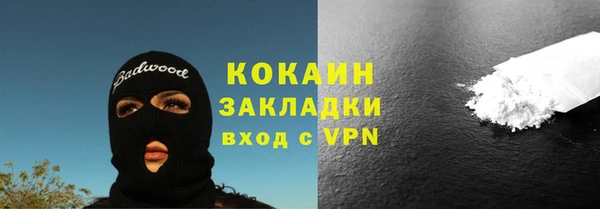 индика Бронницы