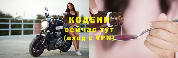 индика Бронницы