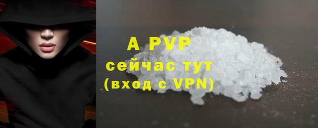 индика Бронницы