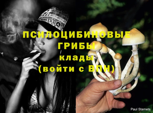 наркотики Бородино