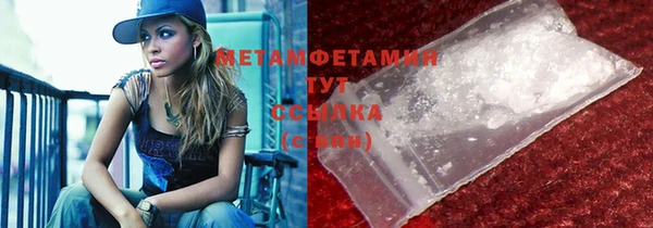 индика Бронницы