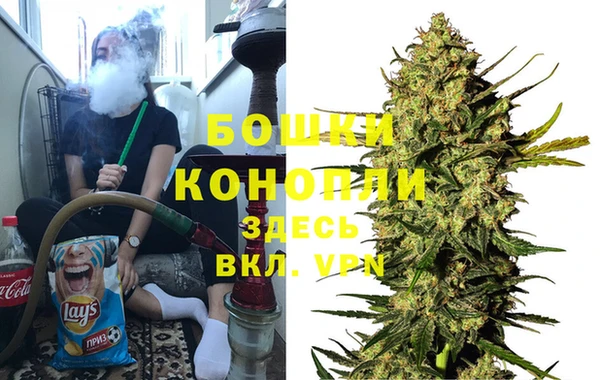 индика Бронницы